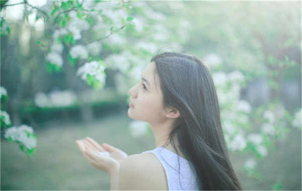 抱罗镇验血查男女几周可以验(验血查男女结果图)